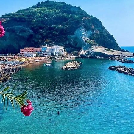 Mare Nostrum - Beachfront House - Sant'Angelo Ischia Εξωτερικό φωτογραφία