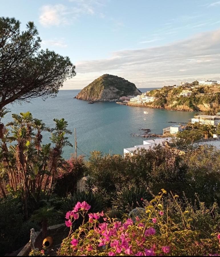 Mare Nostrum - Beachfront House - Sant'Angelo Ischia Εξωτερικό φωτογραφία
