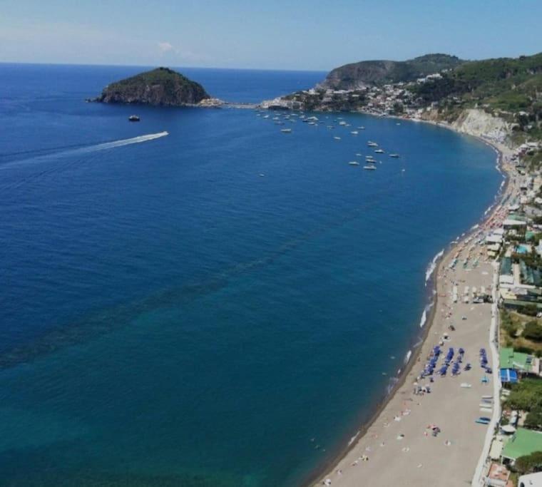 Mare Nostrum - Beachfront House - Sant'Angelo Ischia Εξωτερικό φωτογραφία