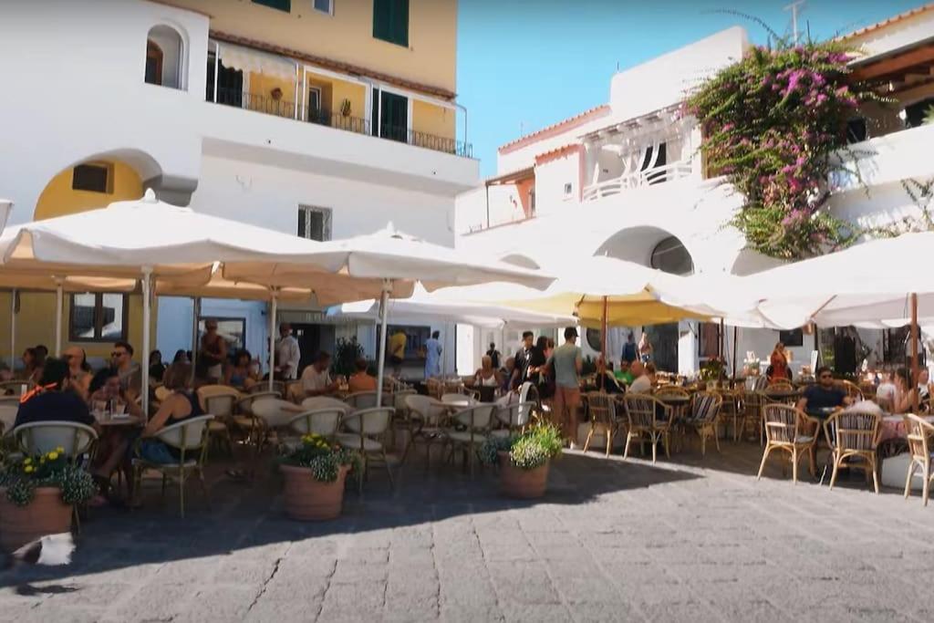 Mare Nostrum - Beachfront House - Sant'Angelo Ischia Εξωτερικό φωτογραφία
