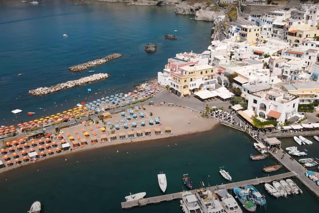 Mare Nostrum - Beachfront House - Sant'Angelo Ischia Εξωτερικό φωτογραφία